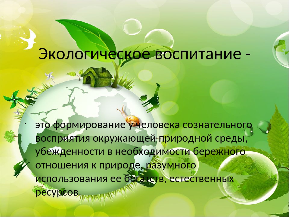 Экологическое воспитание детей: почему это важно и как научить их заботиться о нашей планете.